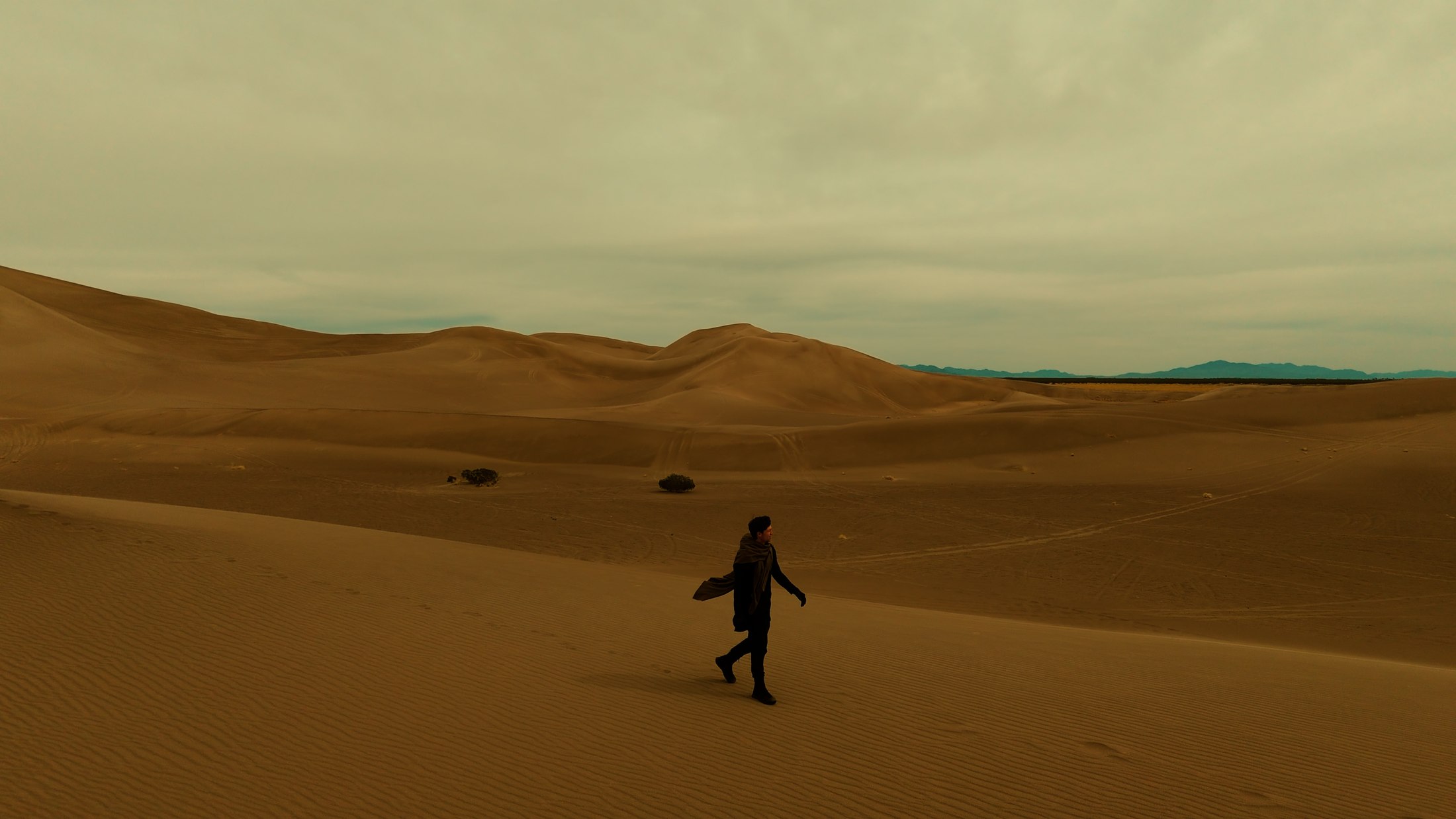 Figure moving through a wide desert landscape